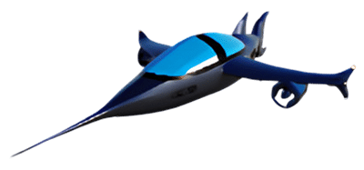 Fisch Jet