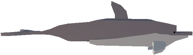 Dolphin