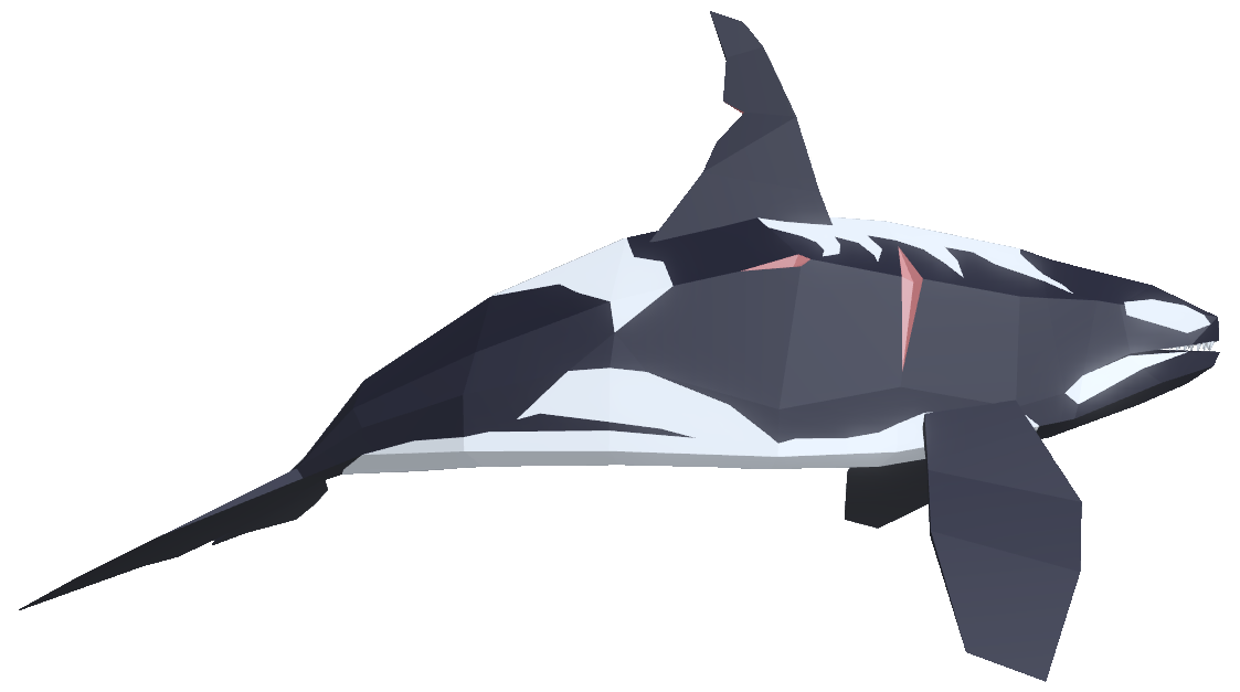 Orca