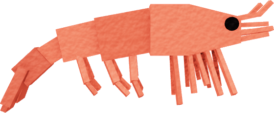 Prawn