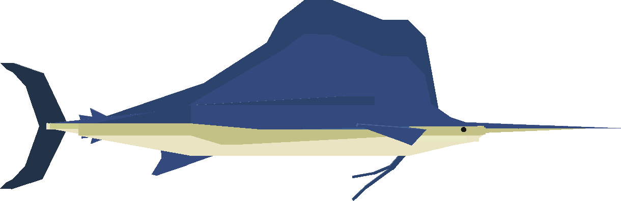 Sailfish
